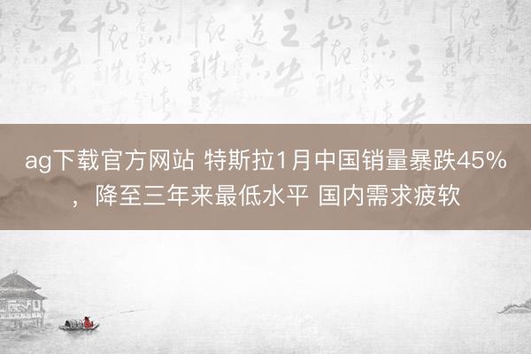 ag下载官方网站 特斯拉1月中国销量暴跌45%,降至三年来最低水平 国内需求疲软