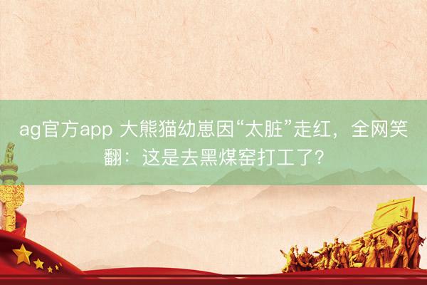 ag官方app 大熊猫幼崽因“太脏”走红，全网笑翻：这是去黑煤窑打工了？